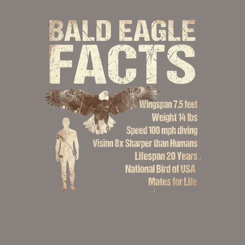 Bald Eagle Facts Bald Eagle Info