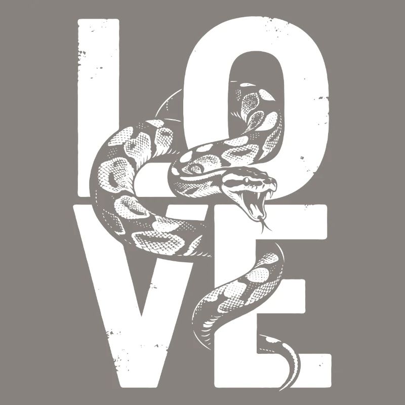 Königspython Schlangen LOVE Terrarium Python