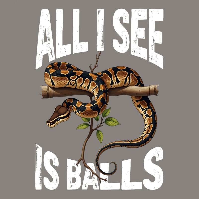 Python roi Serpents Amateurs de terrarium Python