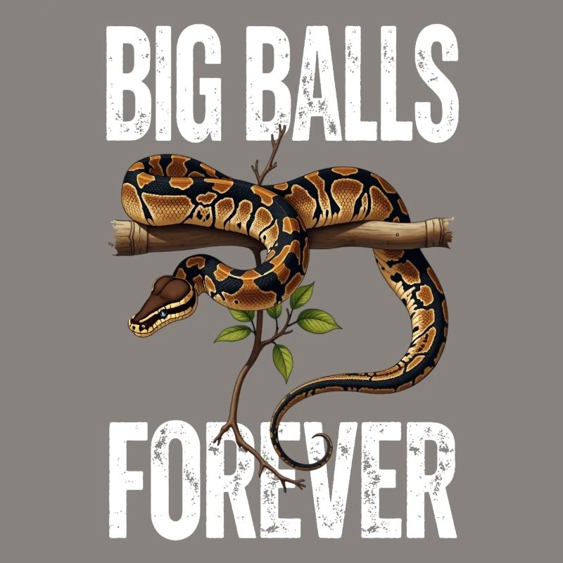 Python roi Serpents Amateurs de terrarium Python