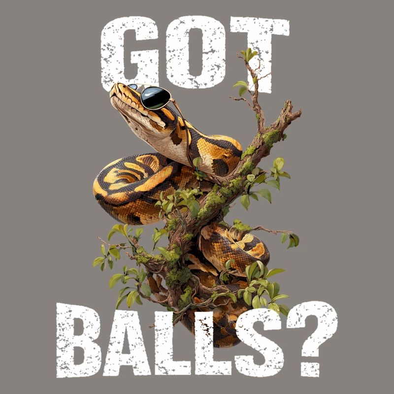 Python roi Serpents Amateurs de terrarium Python