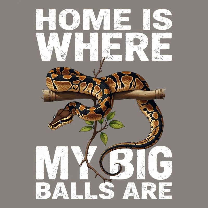 King Python Snakes Lover Terrarium Python