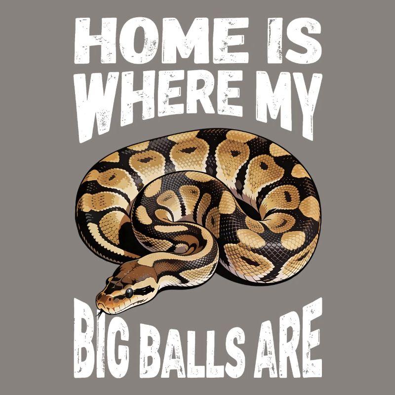 Königspython Schlangen Liebhaber Terrarium Python