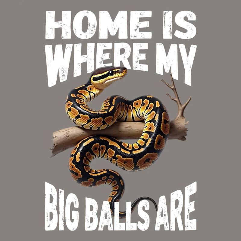 Python roi Serpents Amateurs de terrarium Python