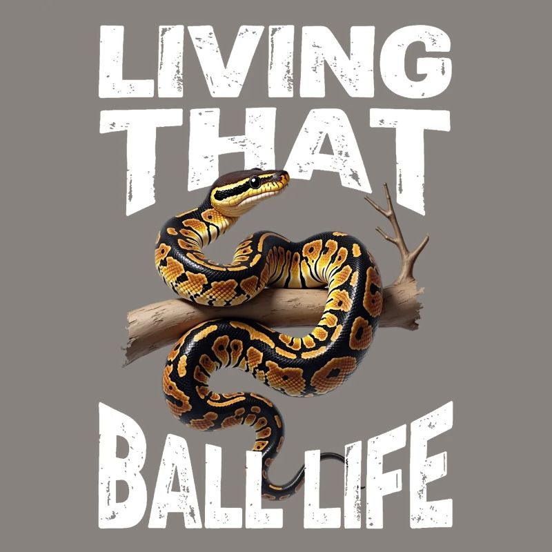 Python roi Serpents Amateurs de terrarium Python