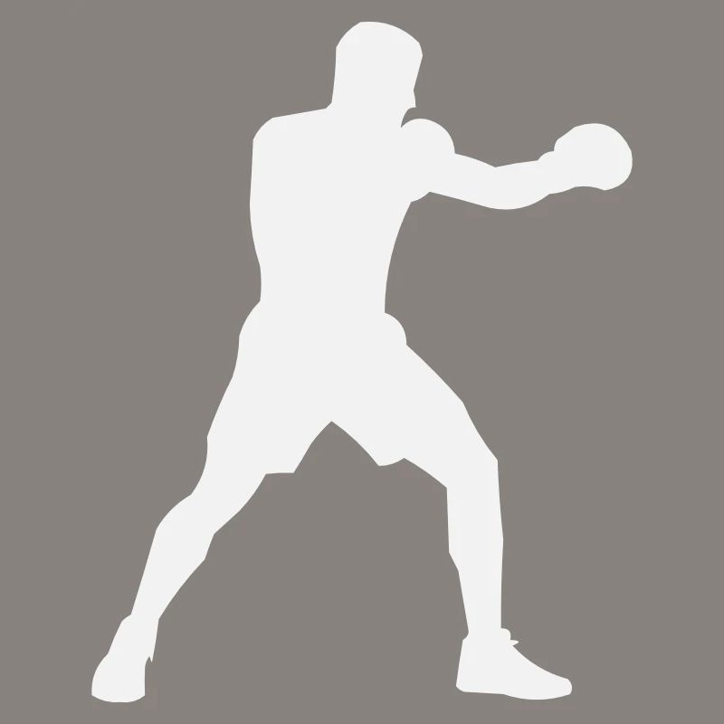 Boost de puissance de la Boxsilhouette