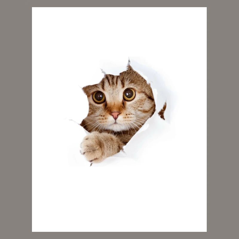 Chaton à coucou à travers une déchirure de papier