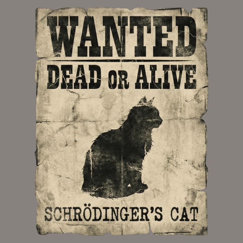 Schrödingers Katze gesucht Tot-oder-lebendig Physik-Wortspiel