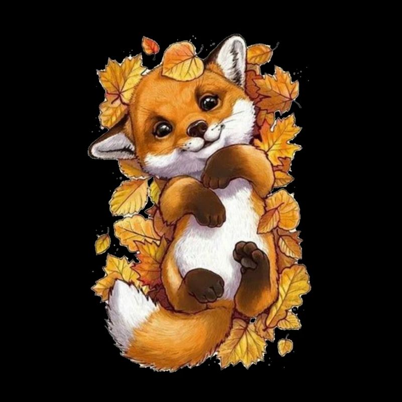 Cute baby fox