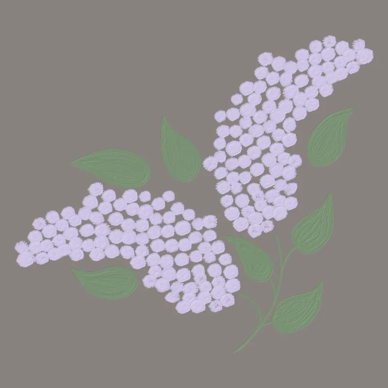 Lilas