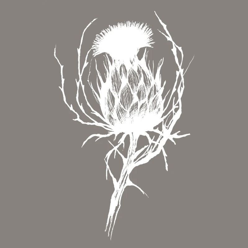 La délicate menace de la fleur de chardon