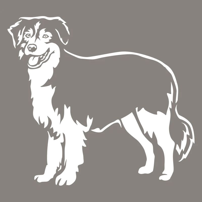 Australian Shepherd "Black Edition"