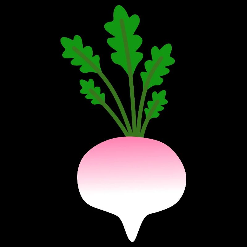 Illustration botanique minimaliste de navet