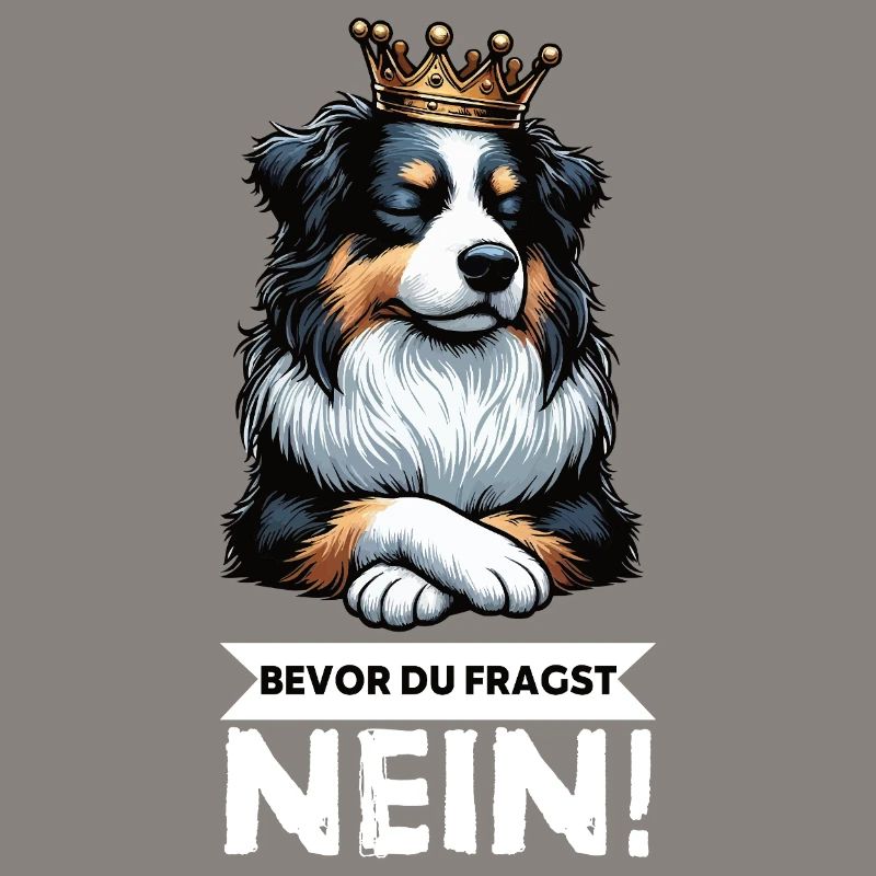 Bevor Du Fragst Australian Shepherd Aussie Aussie
