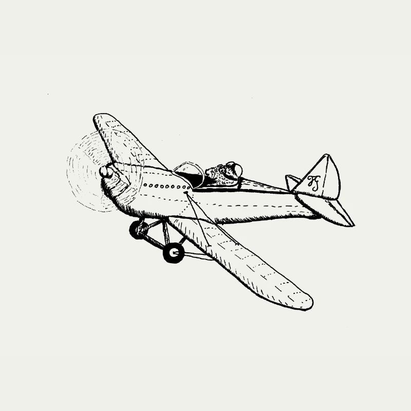 Schnurrhaarpilot