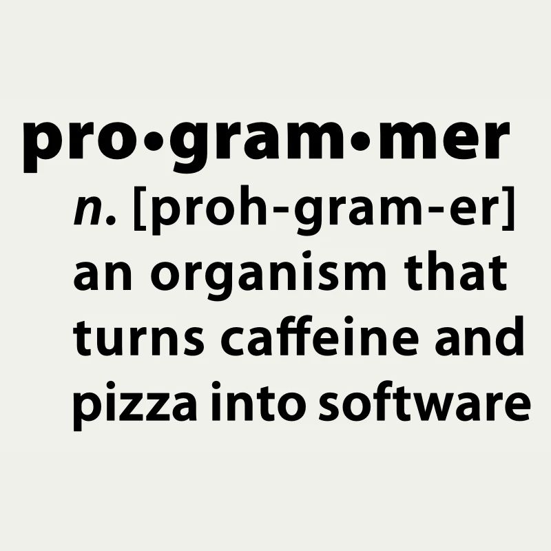 Programmer dictionary definition