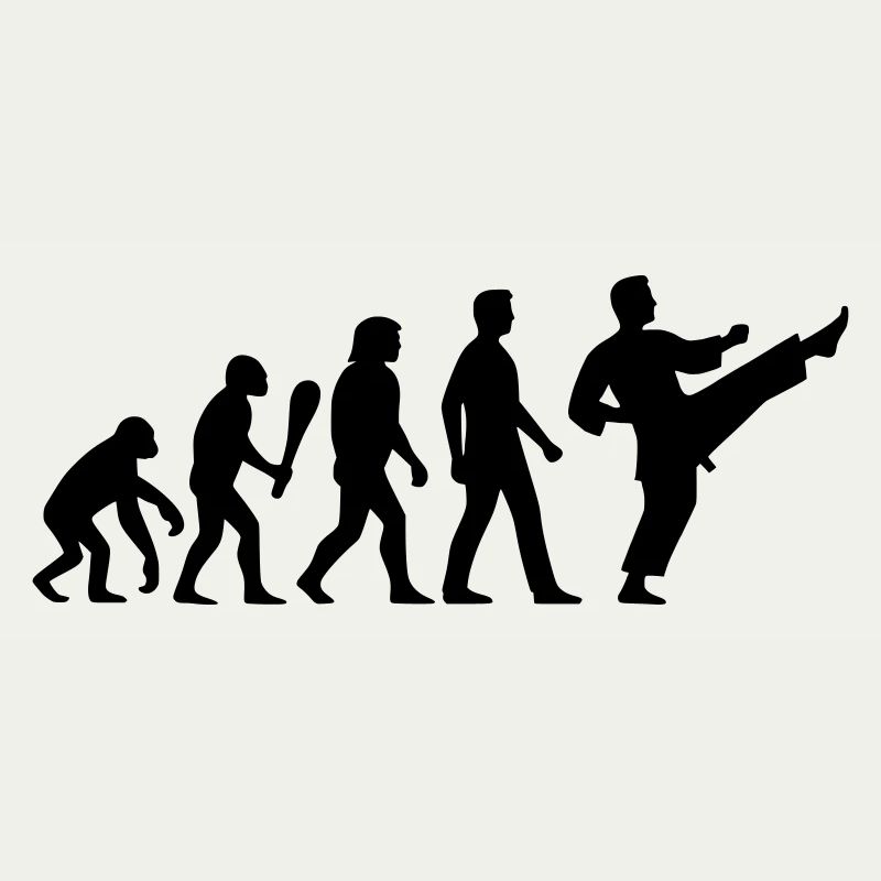 Karate Evolution