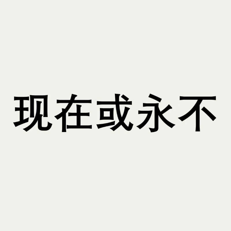 Jetzt oder nie auf chinesisch
