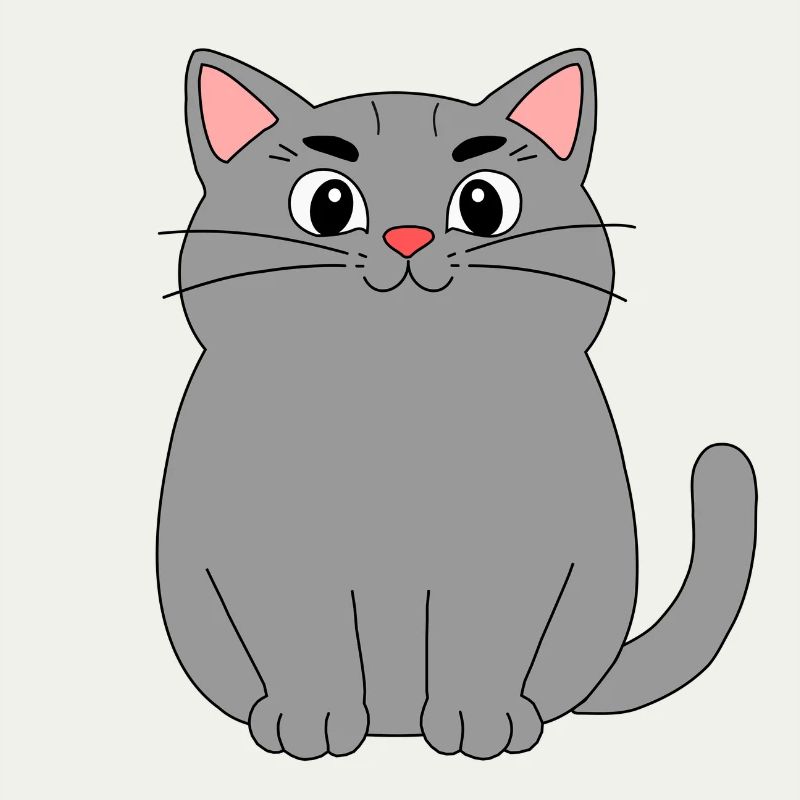 Chat gris