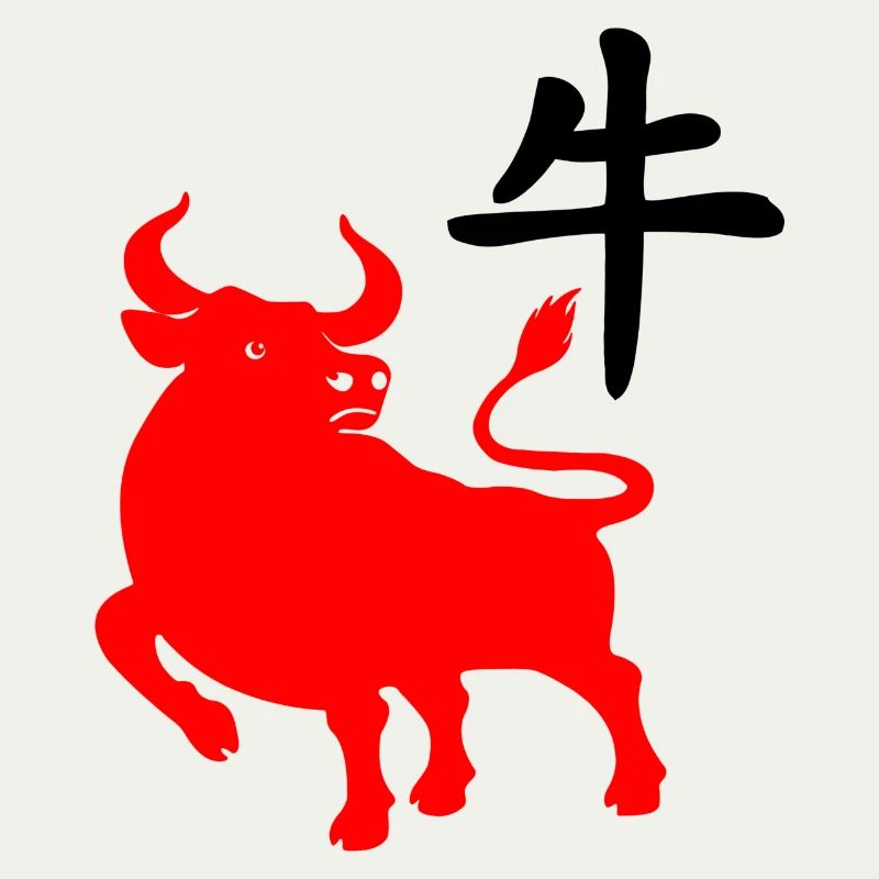 Caractère chinois rouge os avec image du système d’exploitation