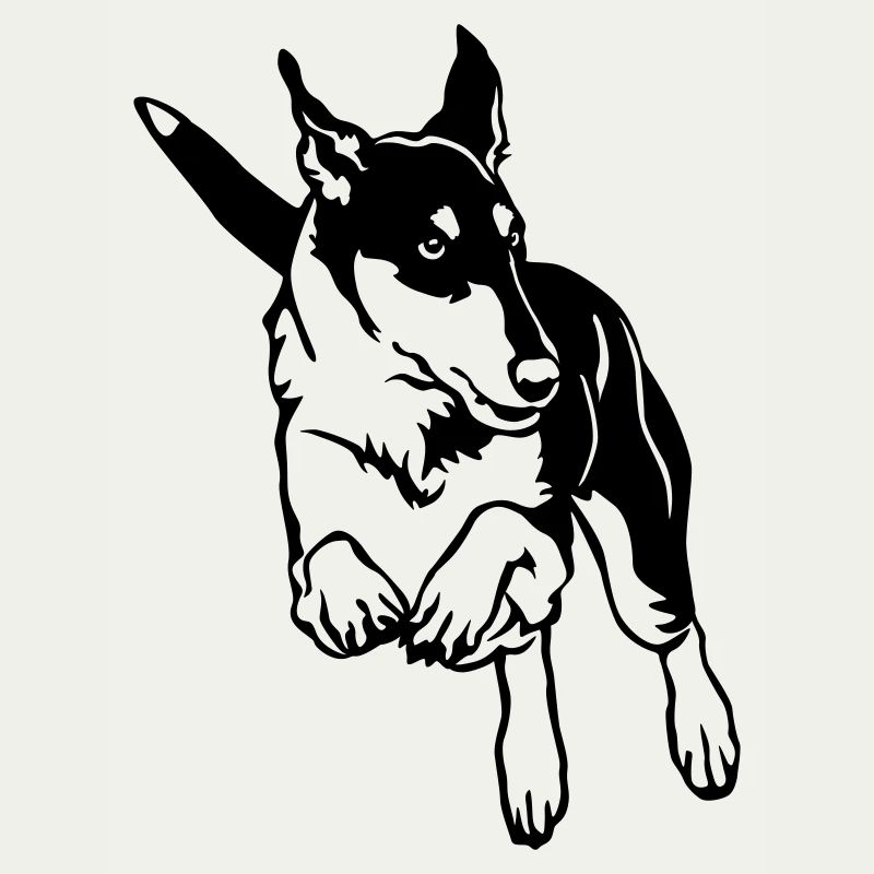 Collie