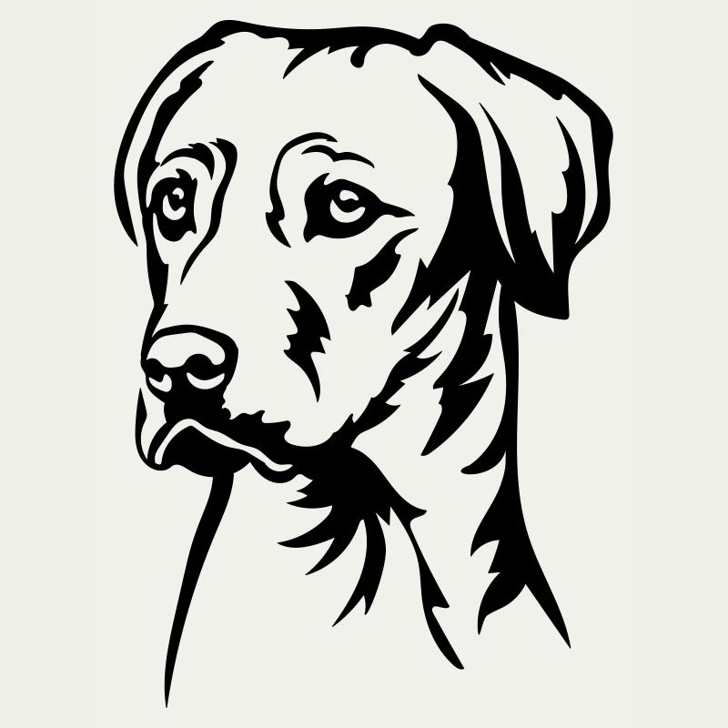 Rhodesian Ridgeback Kopf