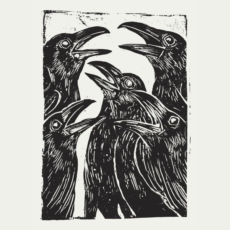 Ravens