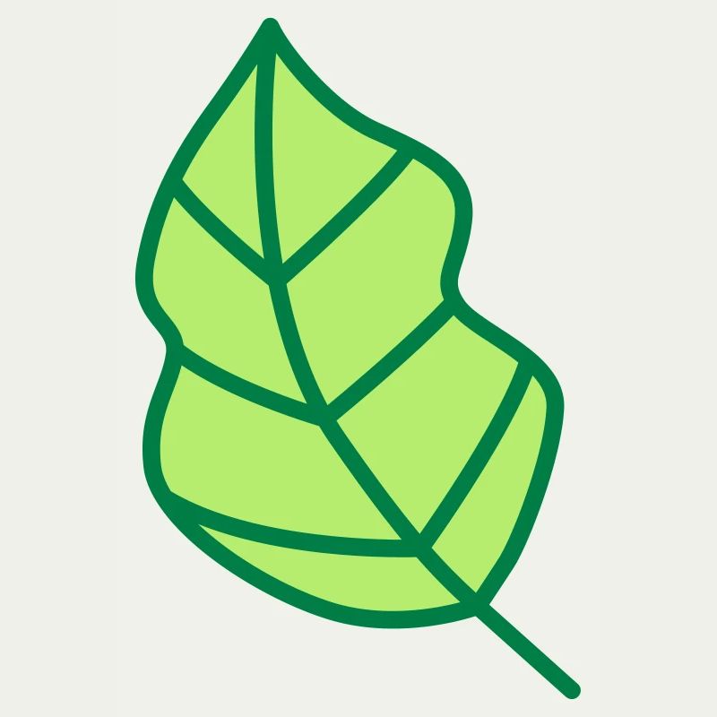feuille