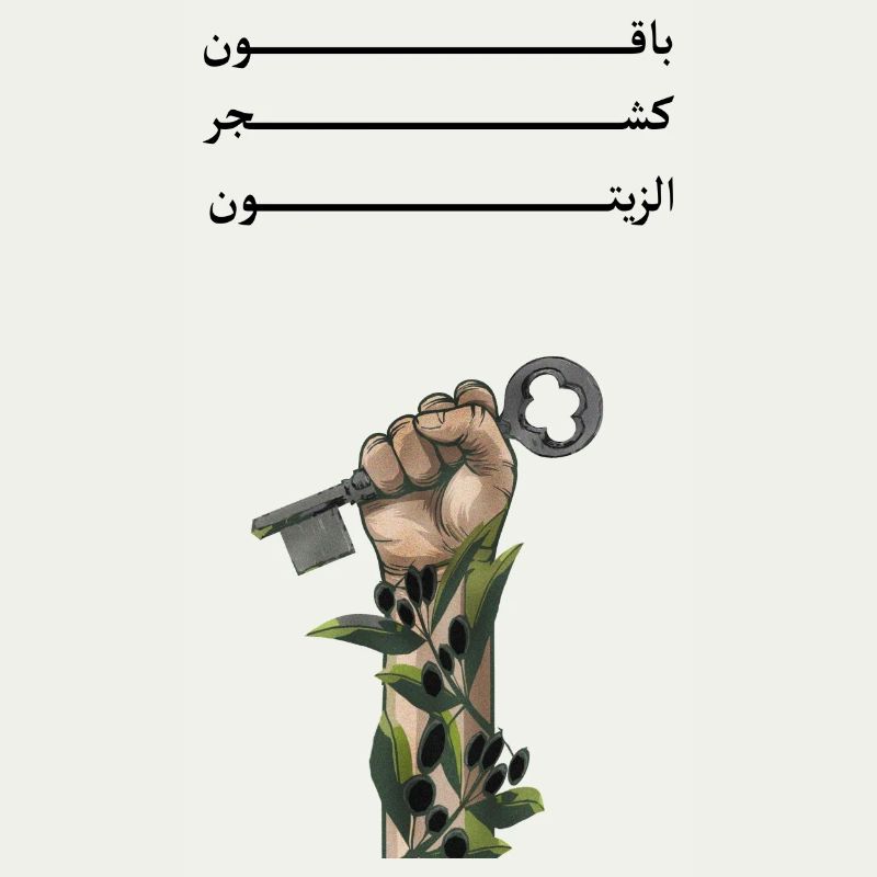 Solid like Oliven trees