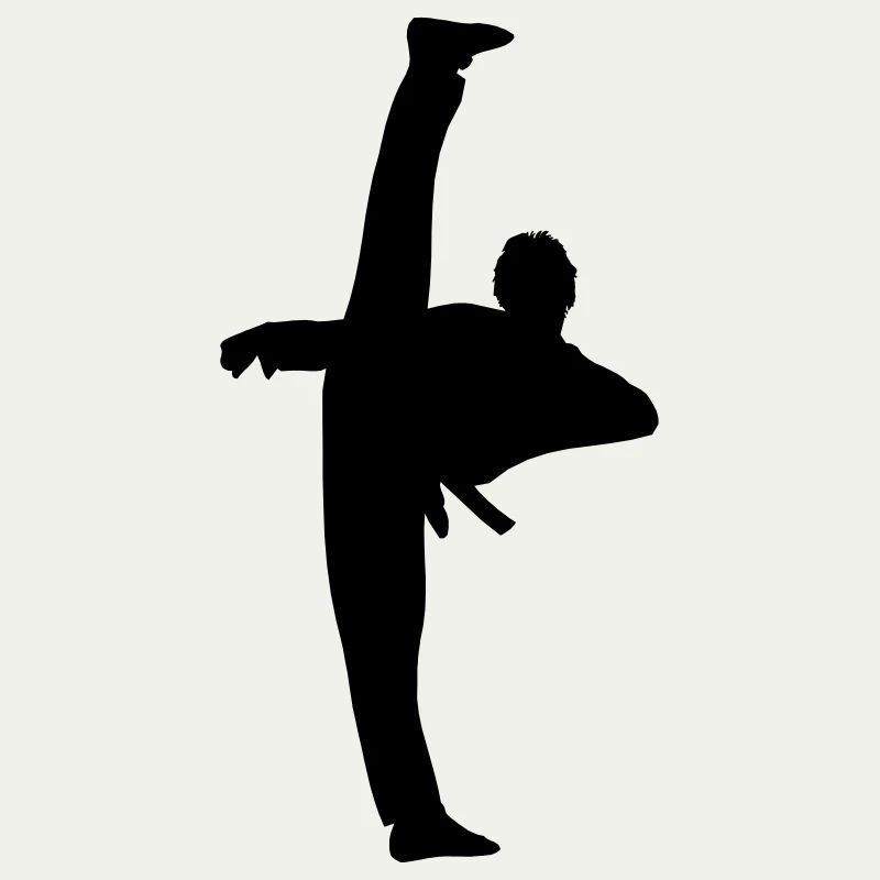 High Kick von Taekwondo oder Karate Schattenfigur