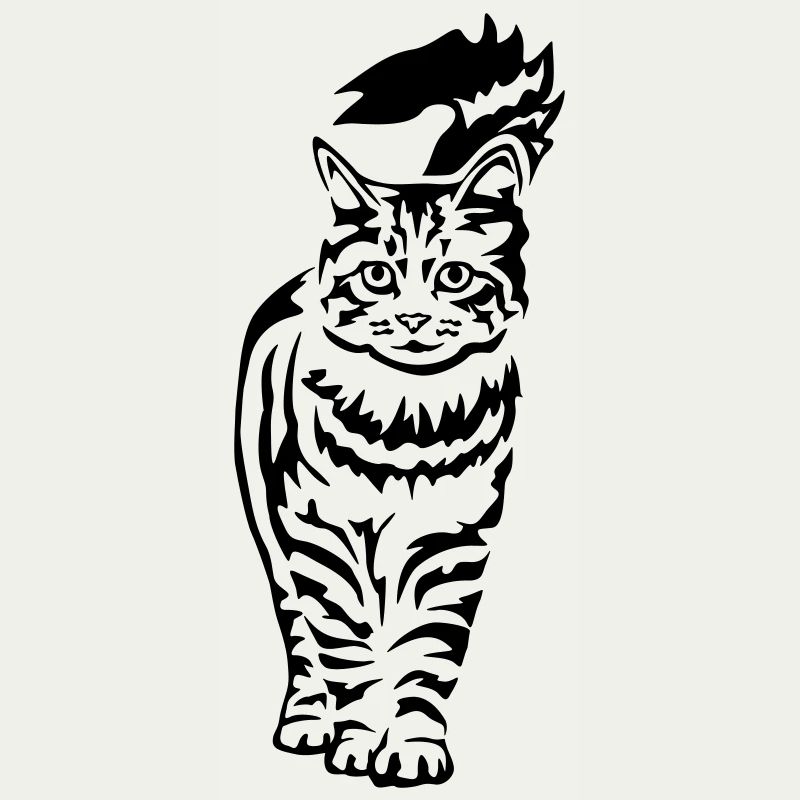 Chat domestique - Chat