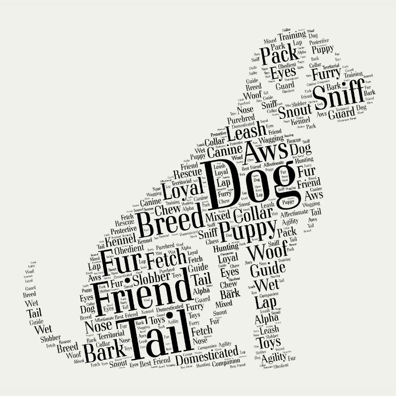 Dog Cloud
