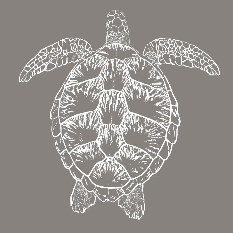 Turtle white2