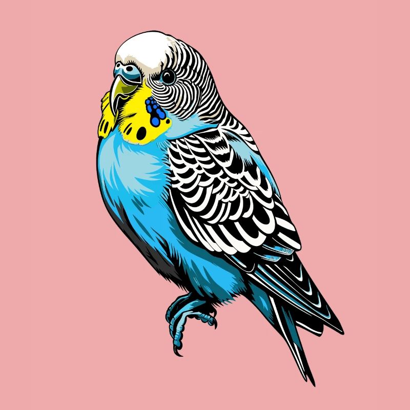 Conception vectorielle de perruche colorée