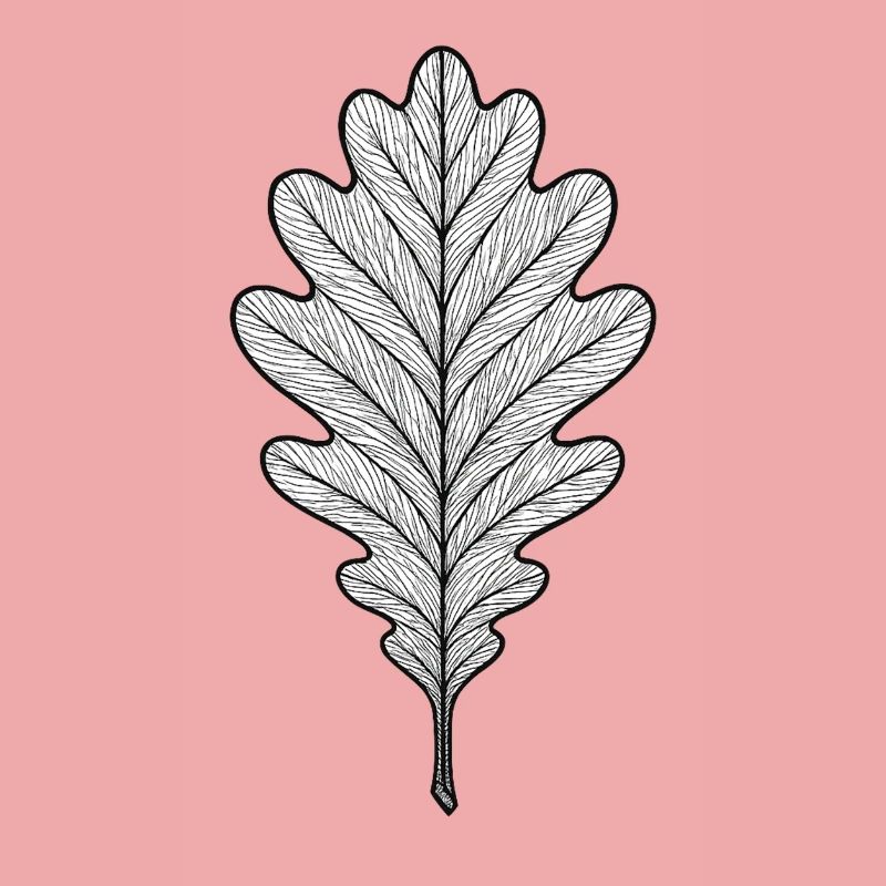 Monochromes Eichenblatt-Design
