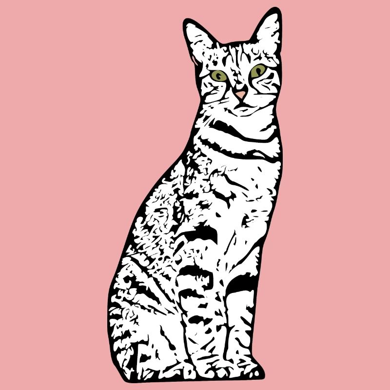 Chat blanc Chat Chat blanc Cadeau