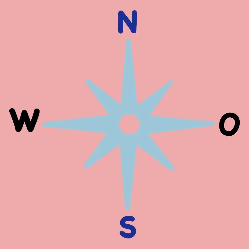 Compass Cardinal Directions Star Compass Maritime