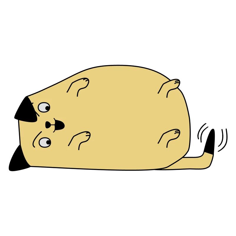 Chien regarde sa queue