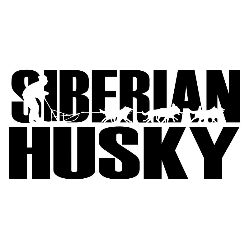 Huskies Husky Sibérien