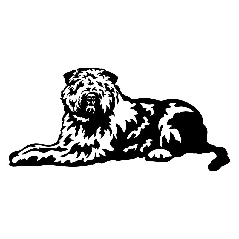 Bouvier de Flandres