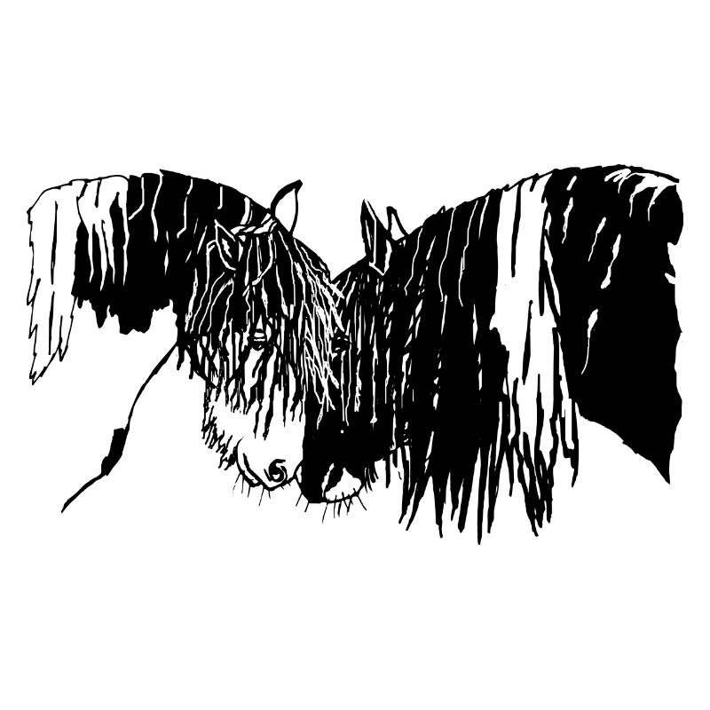 wunderschöne Tinker Reiten Pferde 