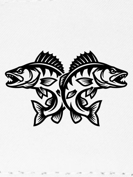 Brochet