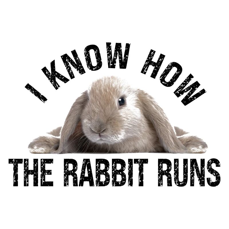 Kaninchen  I know how the rabbit run Denglisch