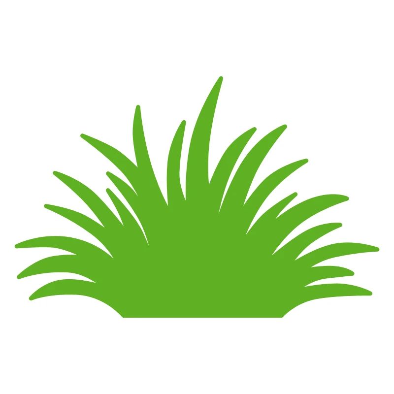 Herbe