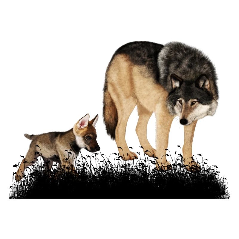 Mit dem Bär im Wald umwerfender Wolf