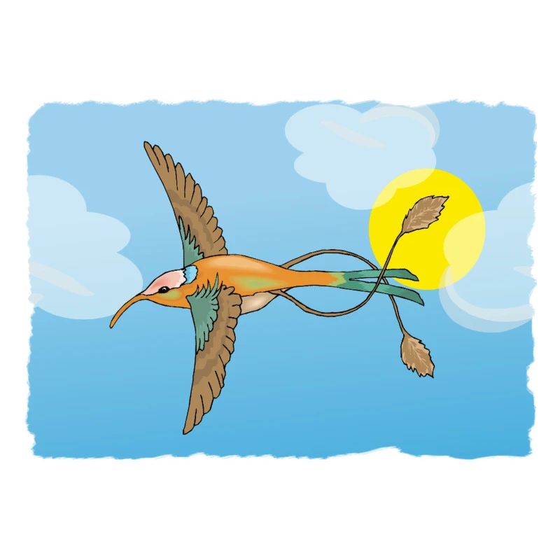Der Kolibri