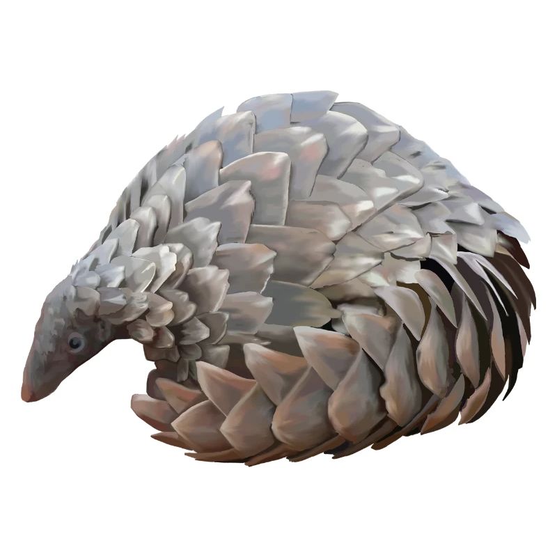 Pangolin dessiné à la main