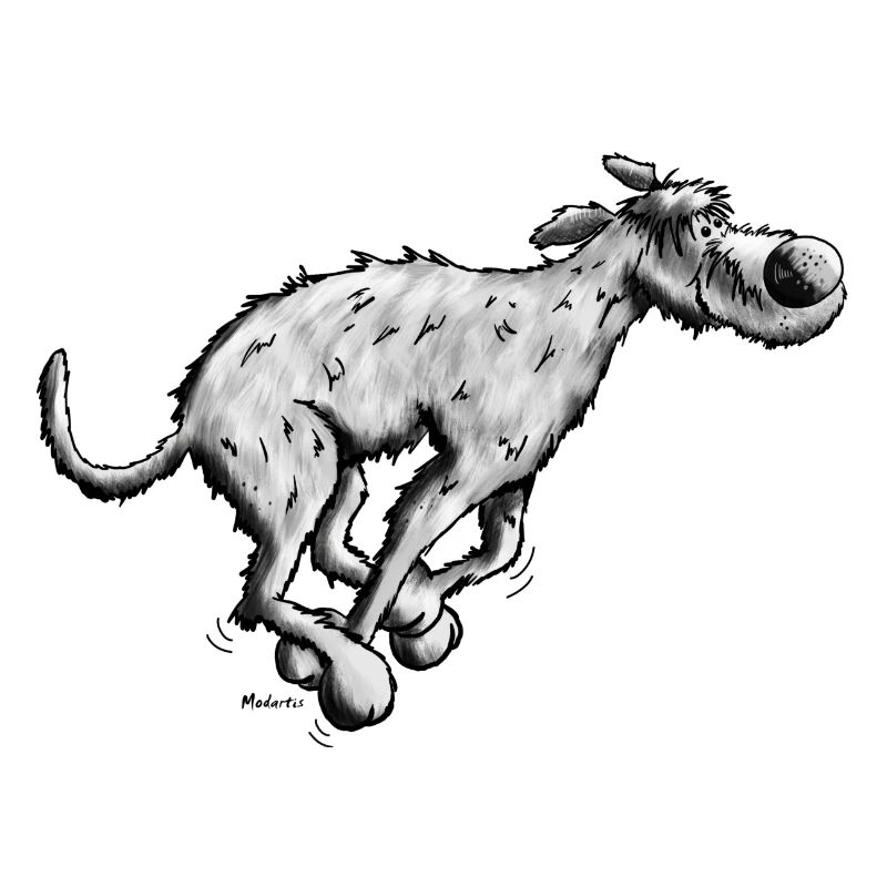 Running Irish Wolfhound