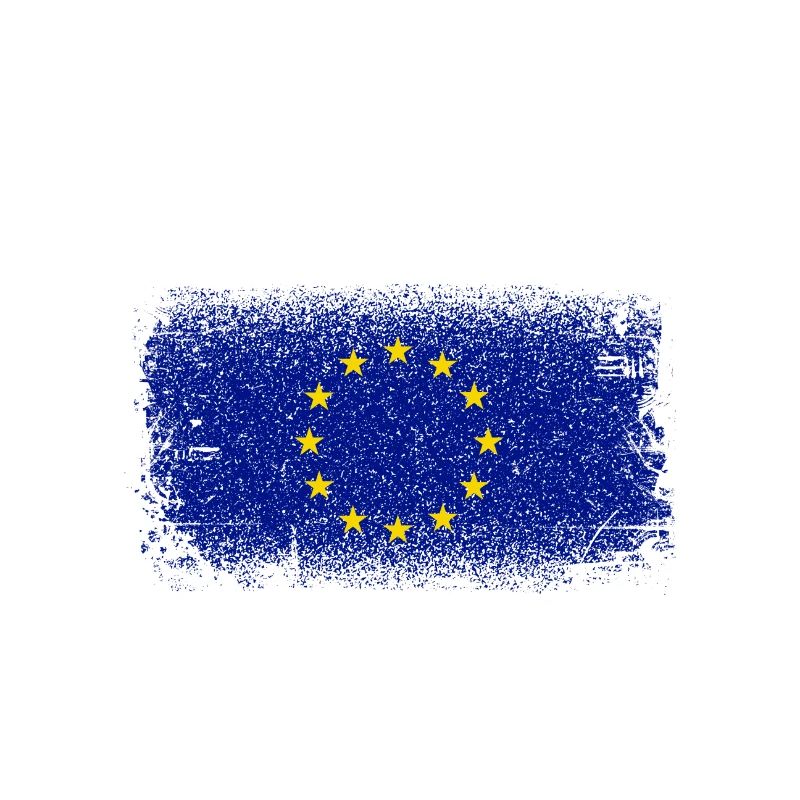 Brosse à drapeau du cercle européen