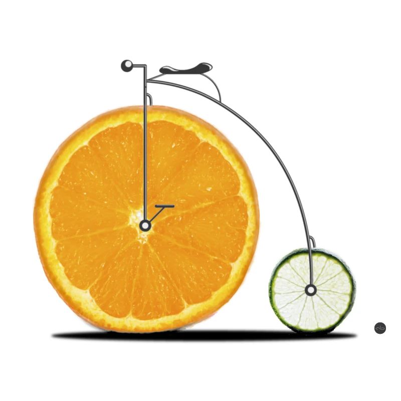 Fruit Bicycle